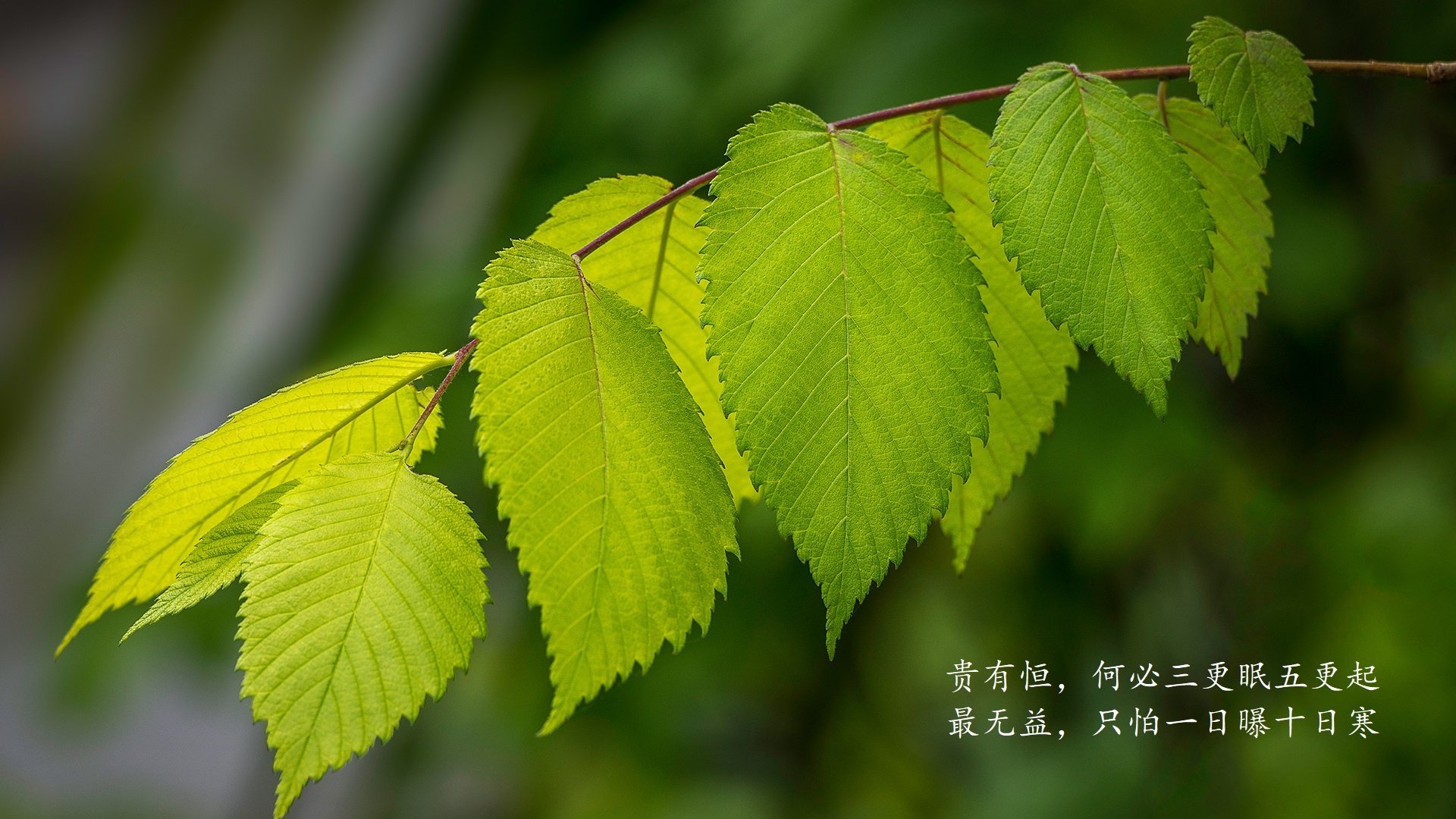 德甲创新战术引领潮流，比赛中精彩瞬间频繁发生，德甲的比赛