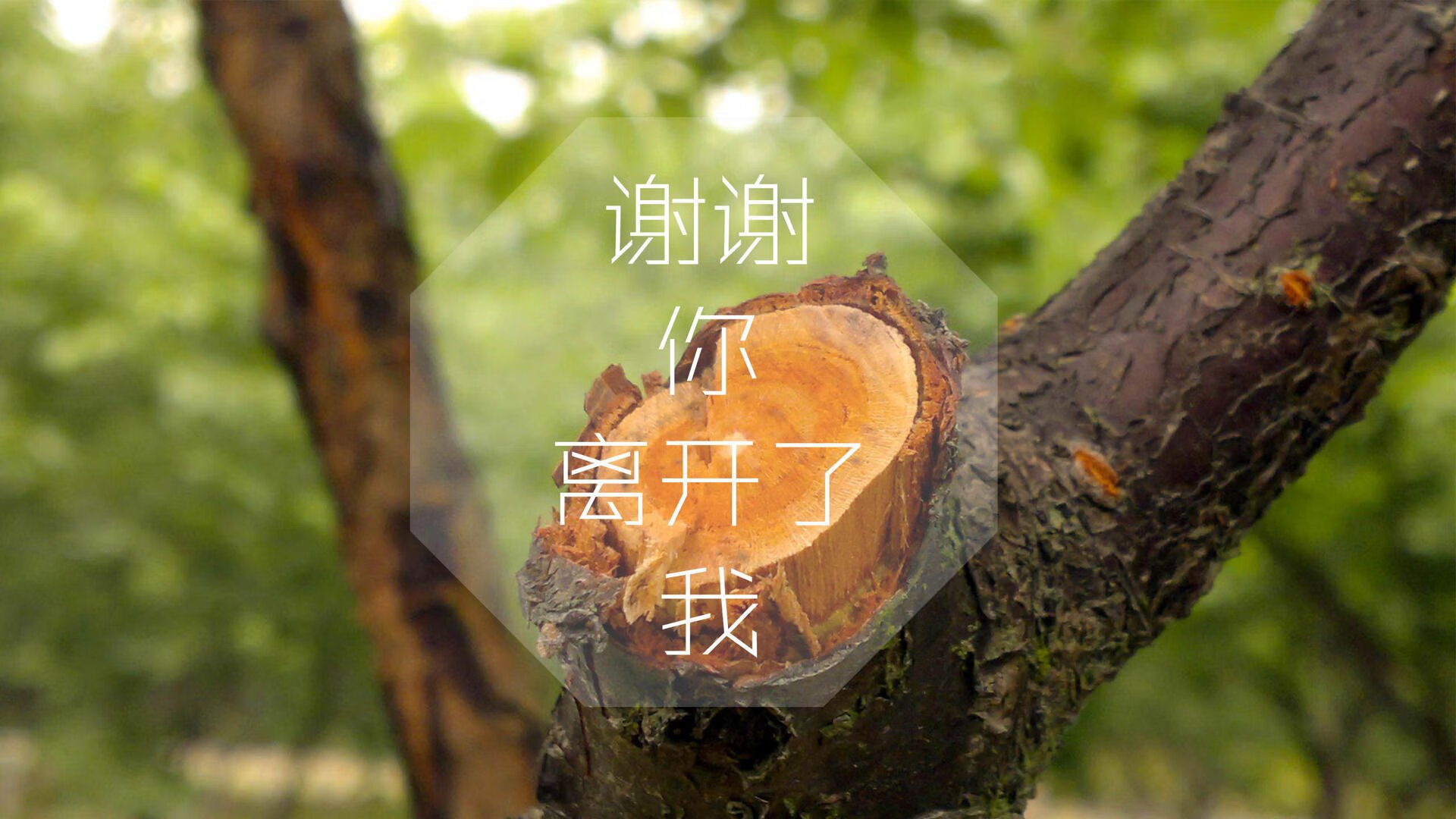 -足协高层谈发展目标强调稳定优先，足协做出重要决定