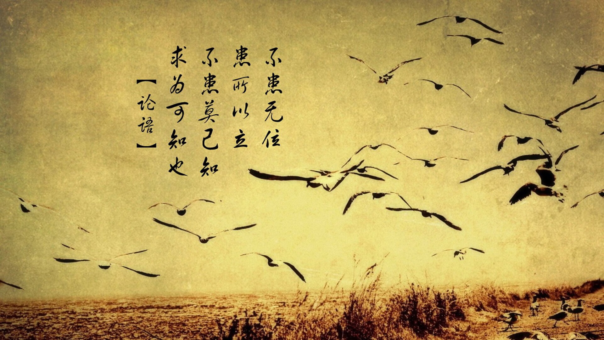 九游登录入口-快船队核心球员竞技状态巅峰，快船队厉害的球员