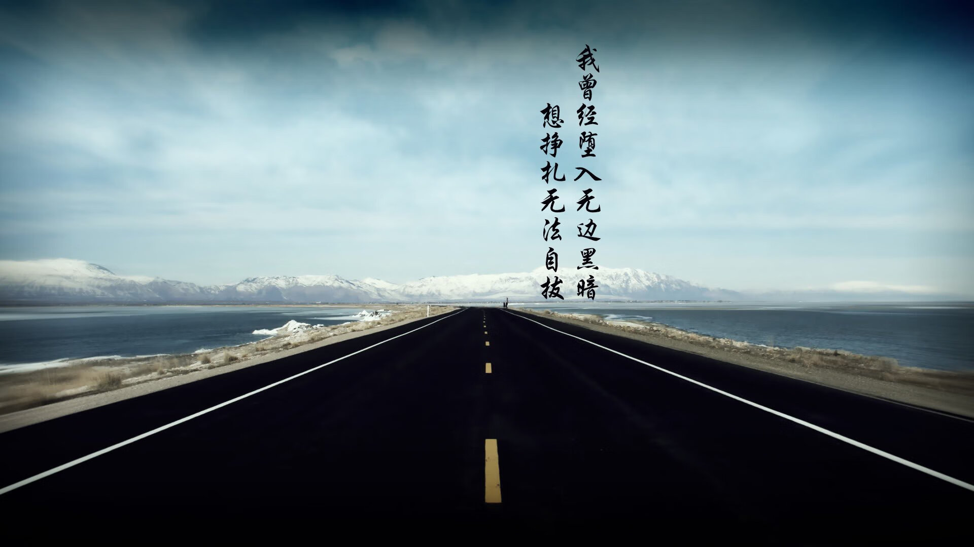 沃尔夫斯堡连败升级区，主帅面临压力，沃尔夫斯堡队