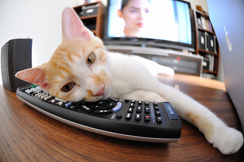 中超联赛技术分析与规则优化,中超联赛技术分析与规则优化论文