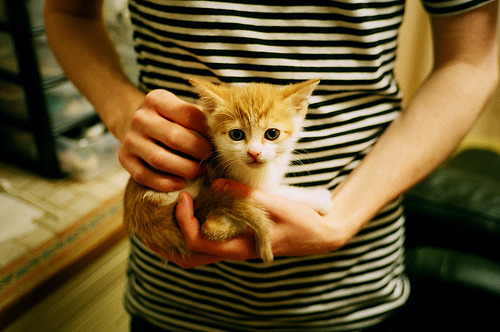 中超联赛技术分析与规则优化,中超联赛技术分析与规则优化论文