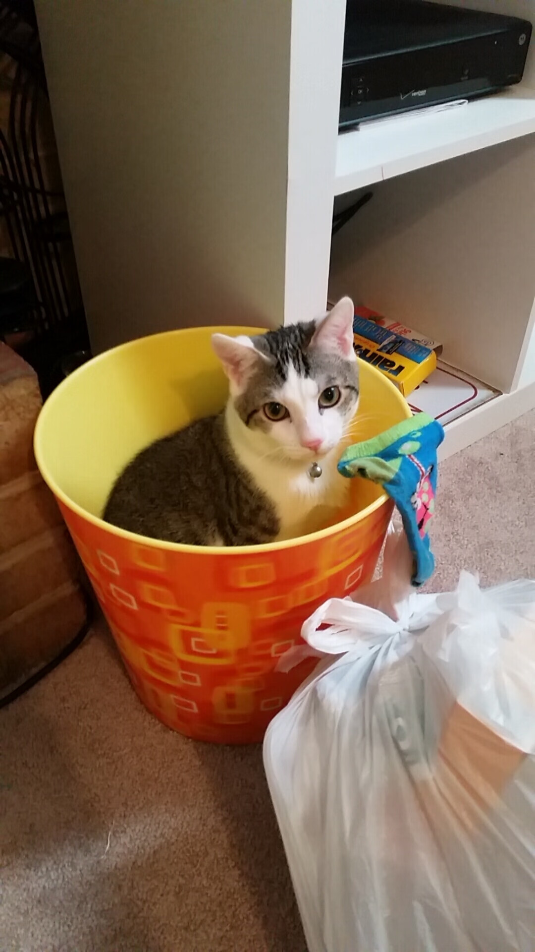 英超赛季中外围转播区域观众增加模式，英超新赛季转播权花落谁家