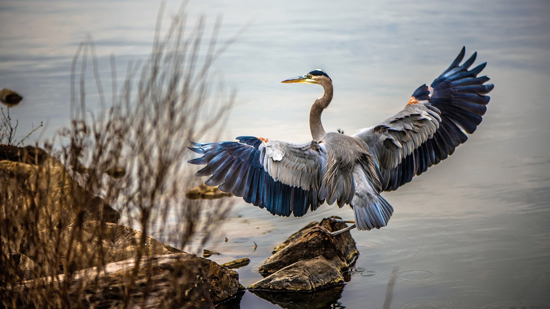 中国香港队的未来:如何通过全面分析与策略调整提升赛场表现,香港队比赛