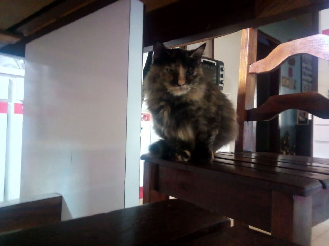 印度赛制透析:多层次赛事体系促进乒乓发展,印度公开赛