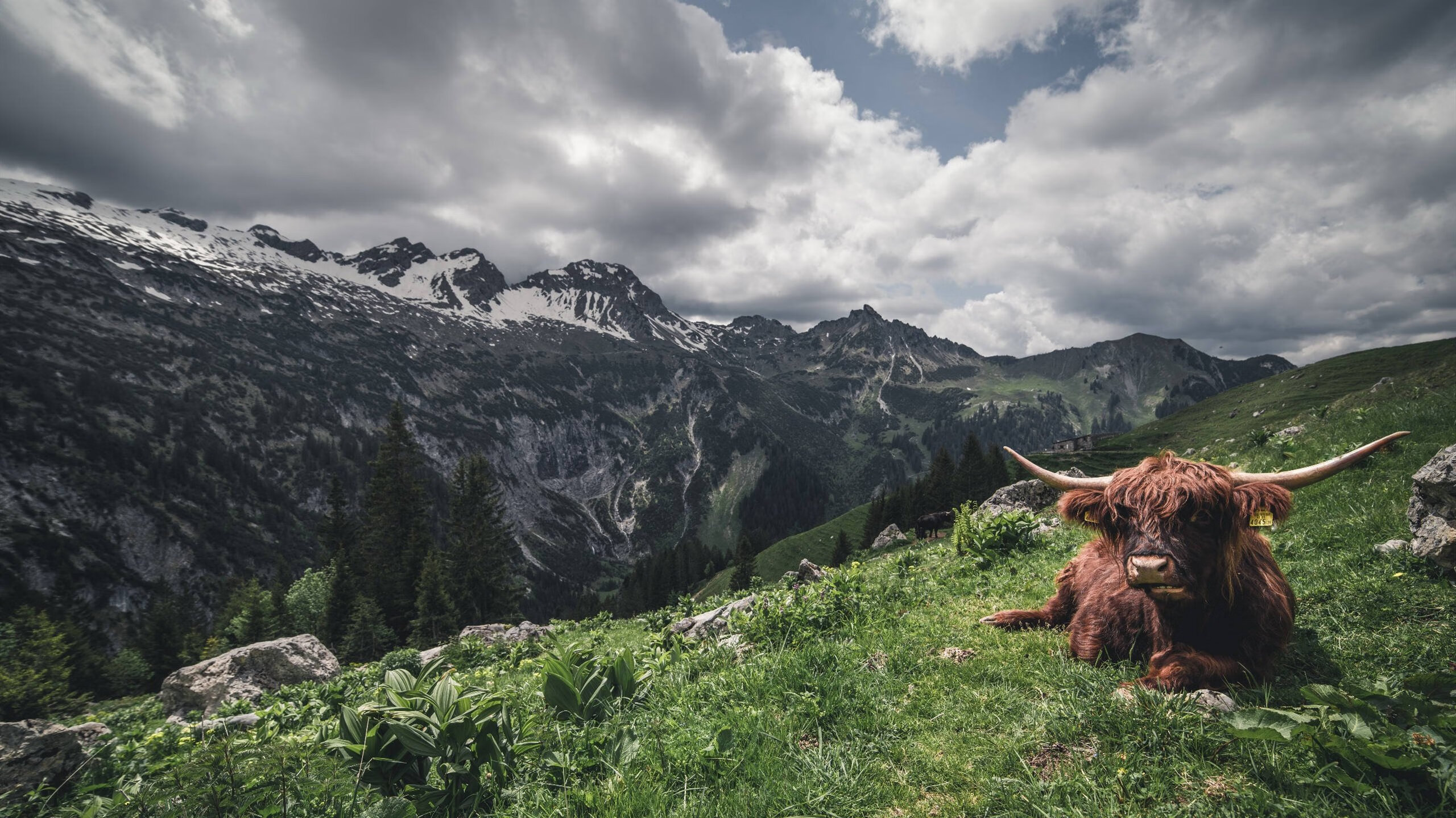 国家男篮重视年轻球员心理成长助力长远发展，男篮规划球员