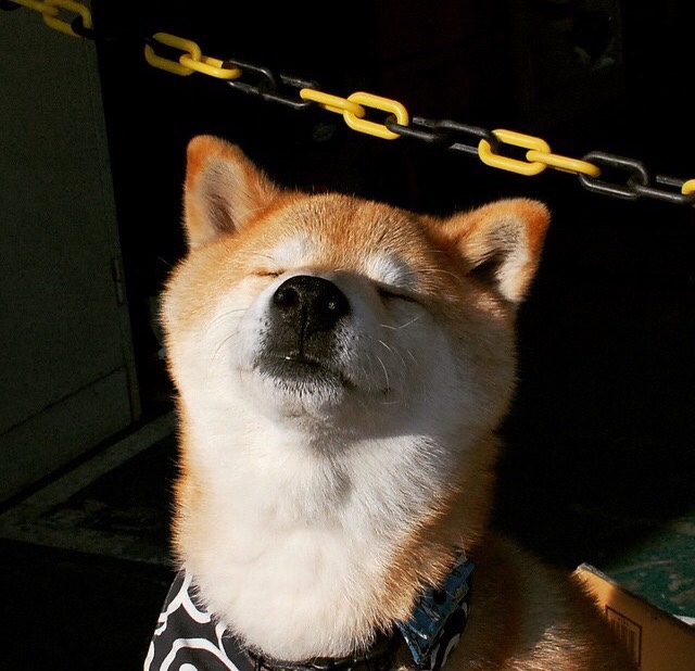 九游（jiuyou.com）游戏-搏击台上选手实力对决精彩纷呈，搏击擂台