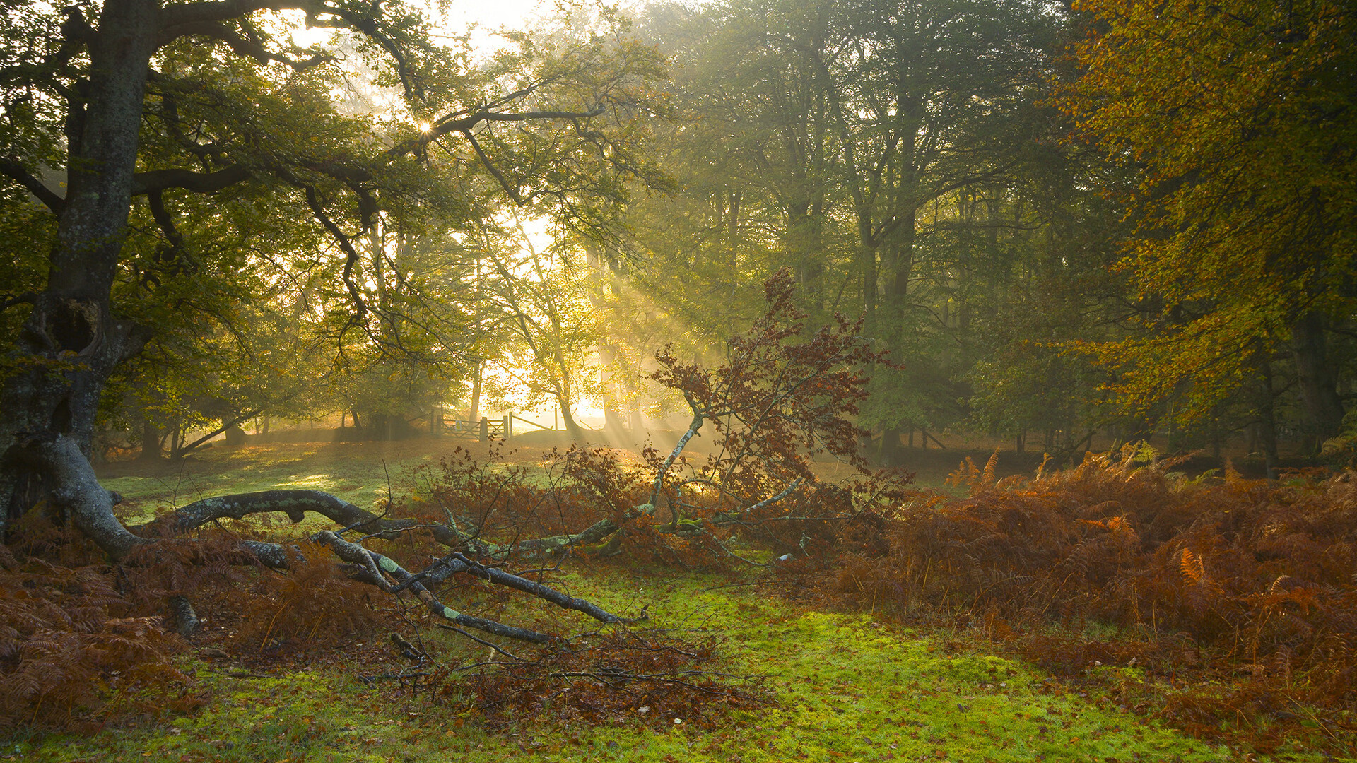 转身动作连贯,节省宝贵时间,转身动作模板