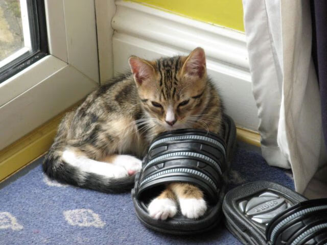 九游网页版官网入口-丁俊晖称保持热爱是坚持下去的动力