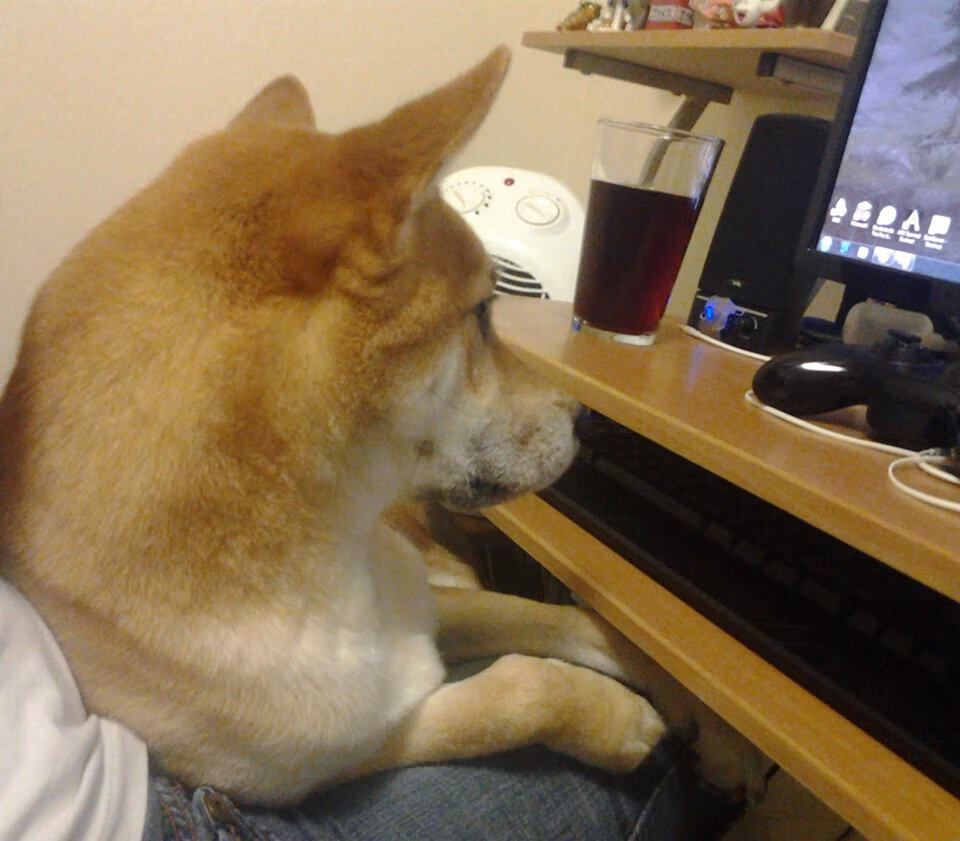 欧洲杯期间球迷互动活动盘点，欧洲杯气氛