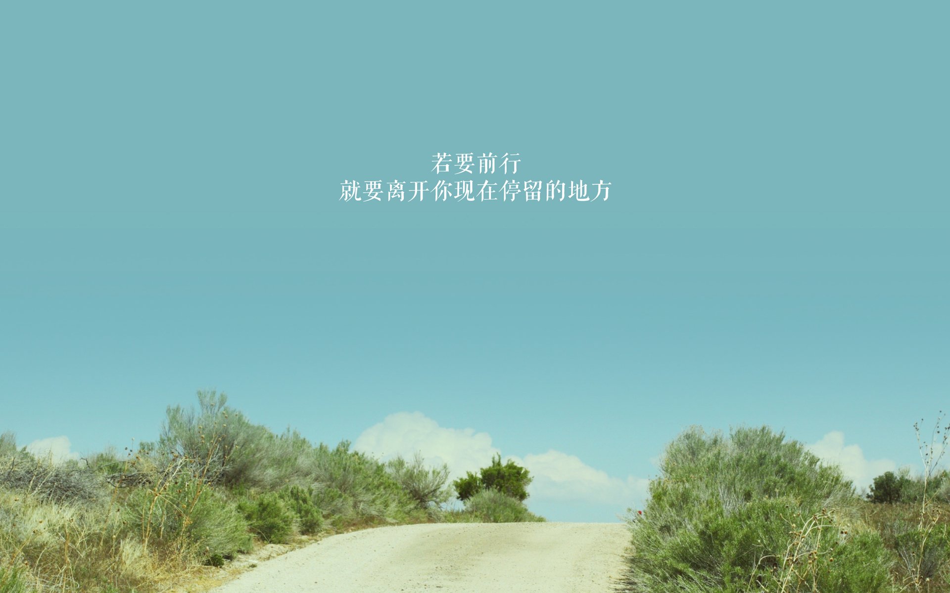 蝶泳赛道见证中意选手高光时刻，蝶泳比赛2020